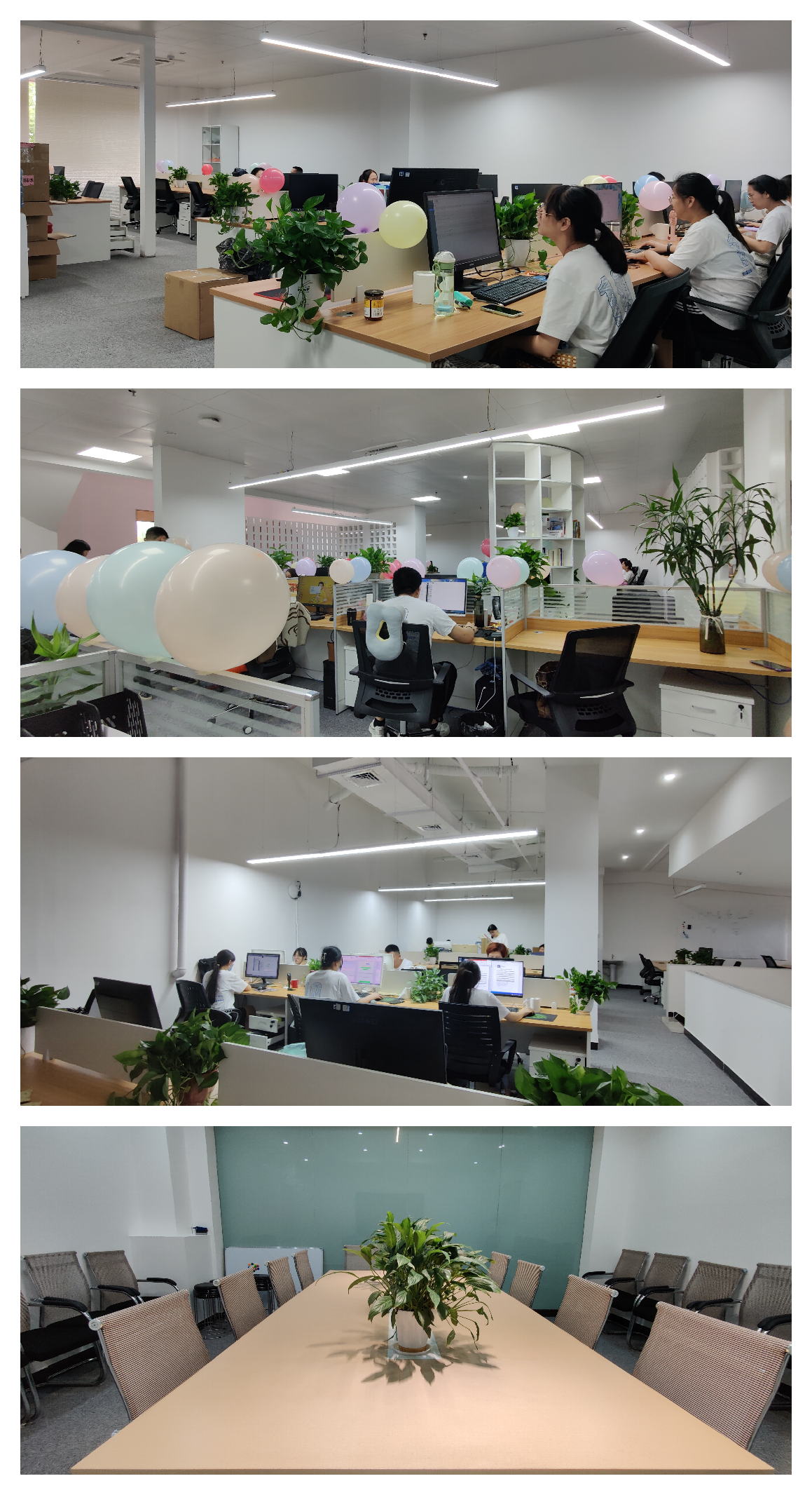 厨房里摆放着照片

中度可信度描述已自动生成