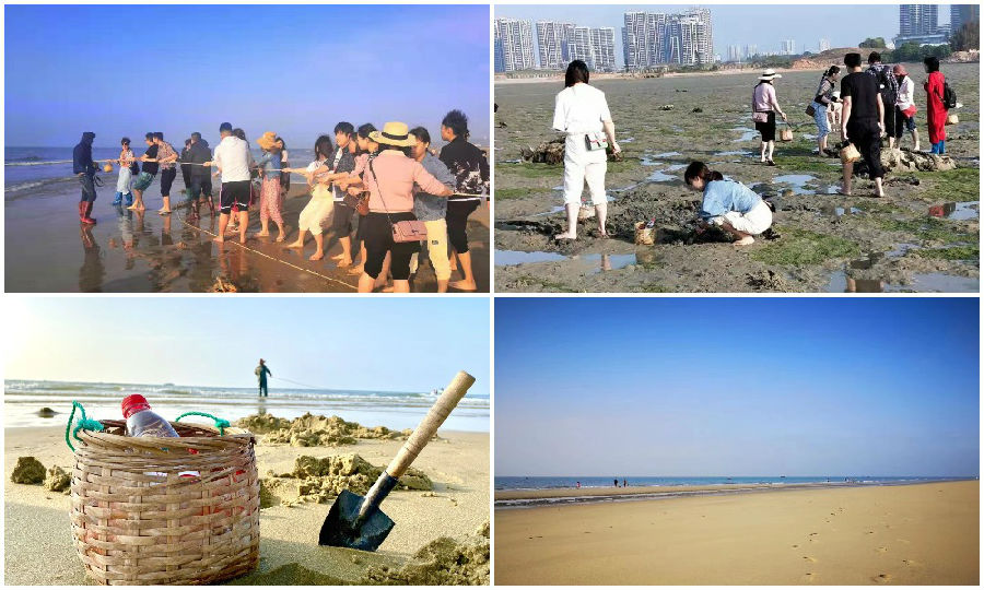 一群人在沙滩上跳起来

描述已自动生成